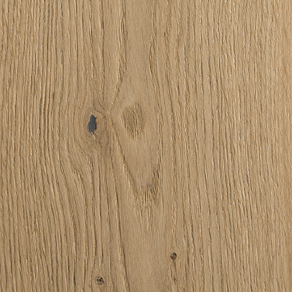 Rovere Europeo